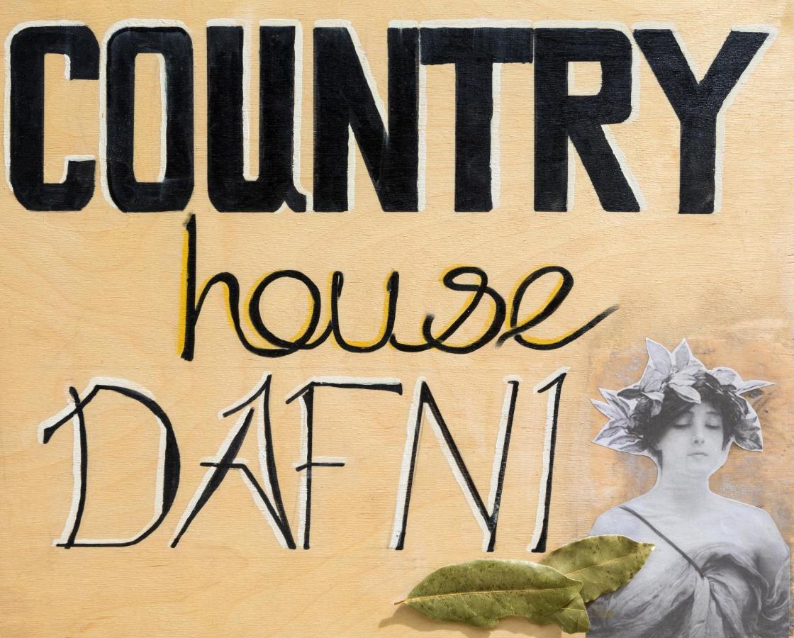 Country House Dafni Vasilikós Exterior foto
